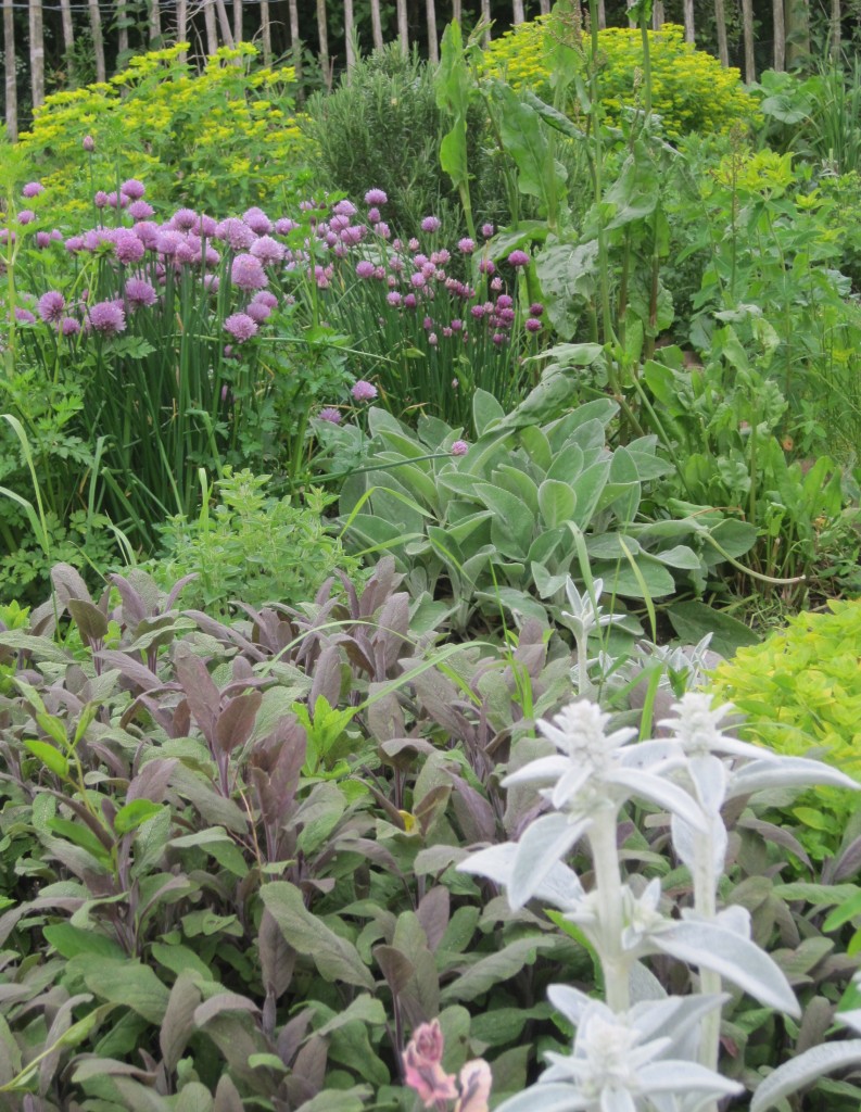 herb garden