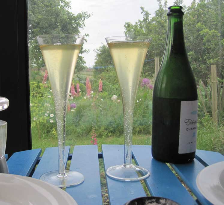 elderflower champagne
