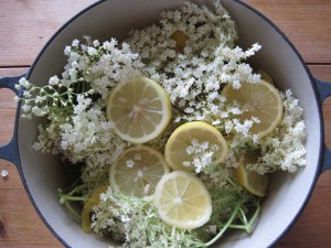 elderflowers and lemons