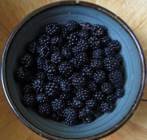 blackberries