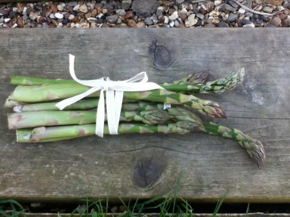 asparagus-on-woodopt