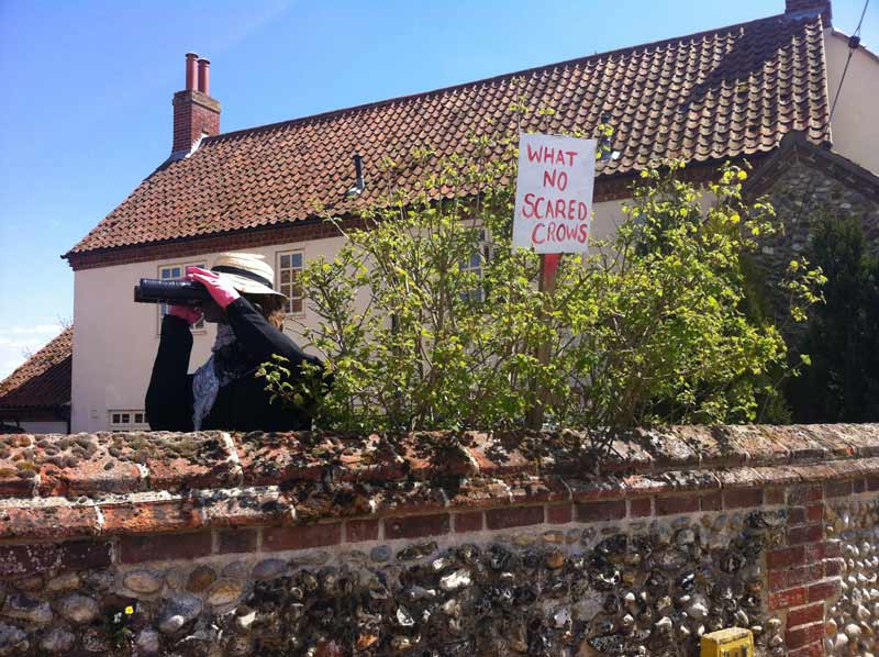 wighton scarecrows viewer crow