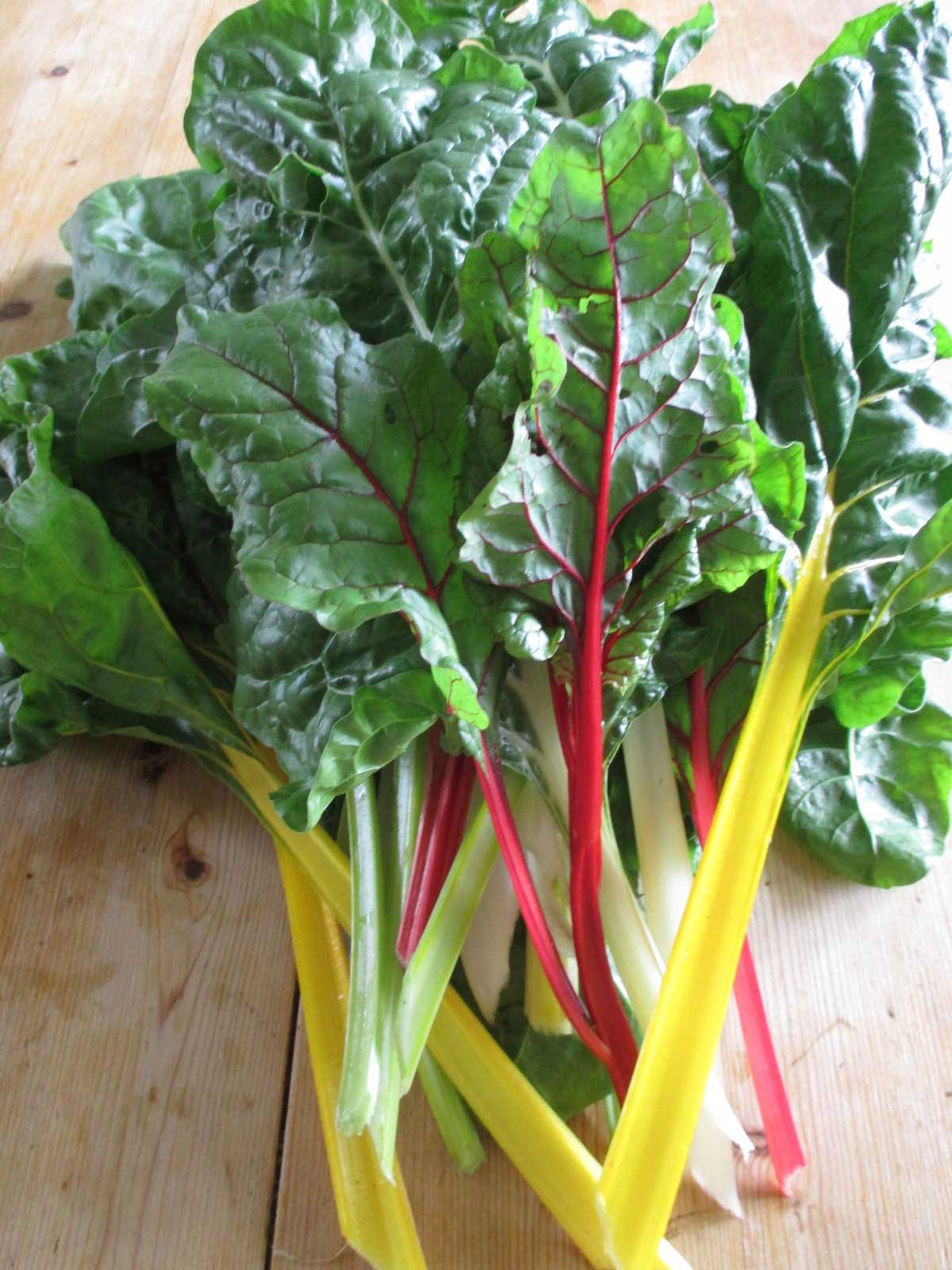 rainbow chard